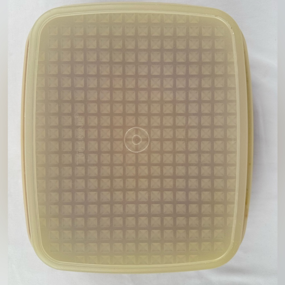 Vintage Tupperware Season n Serve Meat Marinading Container - Picture 2 of 5